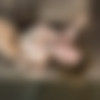 Delizi (Addie, Gretta)/RylskyArt.com 2018-12-21 Delizi - Ludou