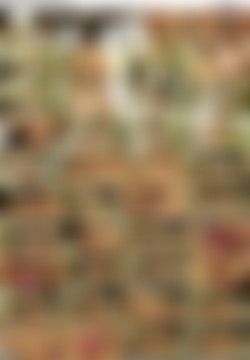 NuruMassage.14.06.06.Rilynn.Rae.And.Vanessa.Veracruz.Not.A.Nuru.Virgin.XXX.1080p.MP4-KTR/num.14.06.06.rilynn.rae.and.vanessa.veracruz.not.a.nuru.virgin_preview.jpg