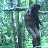 CruxDreams.com thumbnail