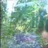 CruxDreams.com thumbnail